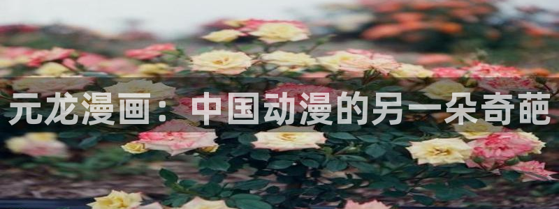 汗汗漫画登陆页面：元龙漫画：中国动漫的另一朵奇葩
