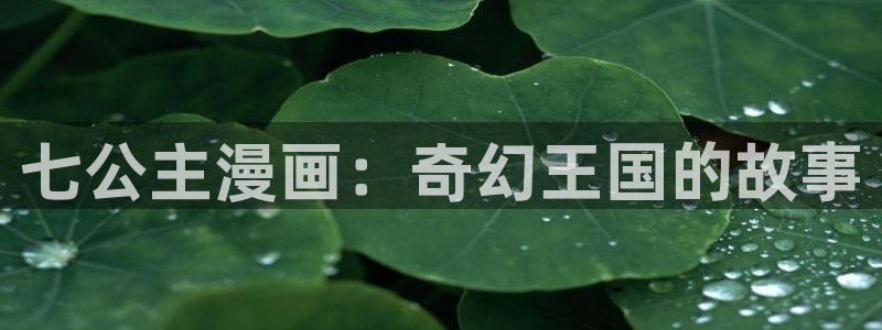 汗汗漫画韩漫漫画：七公主漫画：奇幻王国的故事