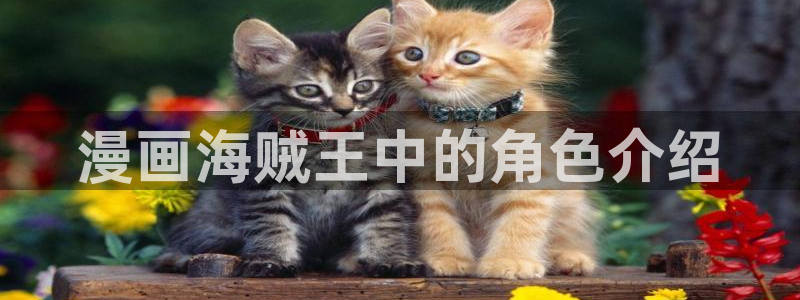 汗汗漫画全部：漫画海贼王中的角色介绍
