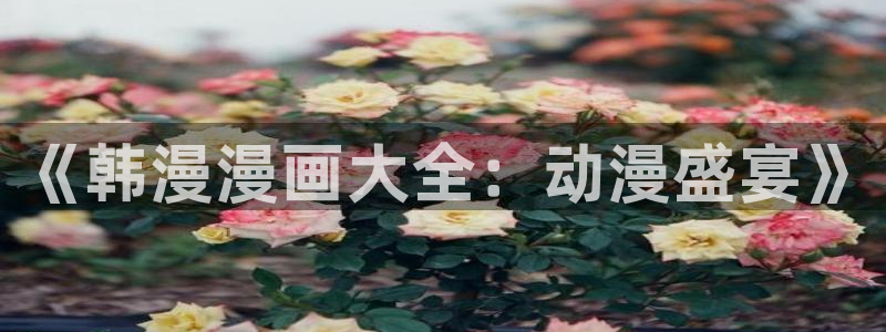 汗汗漫画网站官网：《韩漫漫画大全：动漫盛宴》
