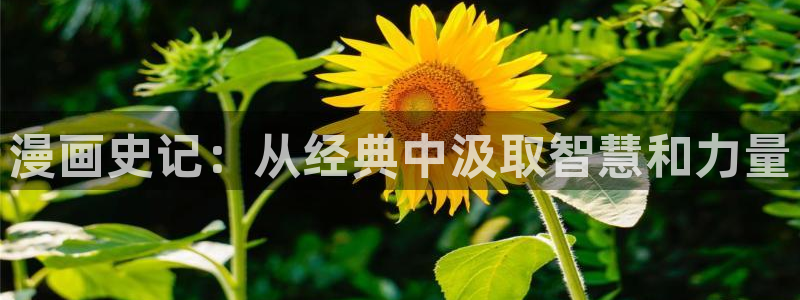汗汗漫画首页登录：漫画史记：从经典中汲取智慧和力量