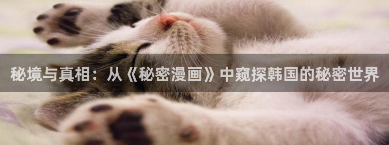 汗汗漫画在线免费