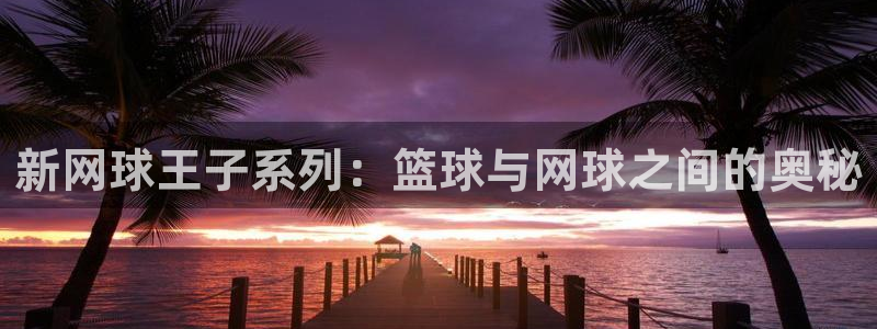 汗汗漫画在线观看nba入口