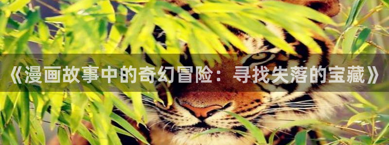 歪歪汗汗漫画sss下拉：《漫画故事中的奇幻冒险：寻找失落的宝藏》