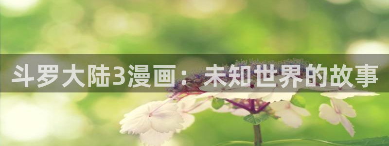 歪歪漫画一汗汗漫画：斗罗大陆3漫画：未知世界的故事