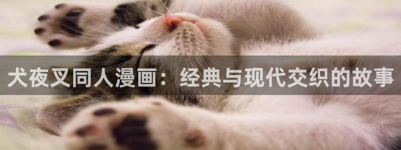 汗汗漫画大全免费版：犬夜叉同人漫画：经典与现代交织的故事